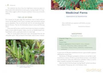 The Fern Pharmacy: Indigenous Wisdom and Modern Pharmacology - Robert Dale Rogers [KSIĄŻKA]