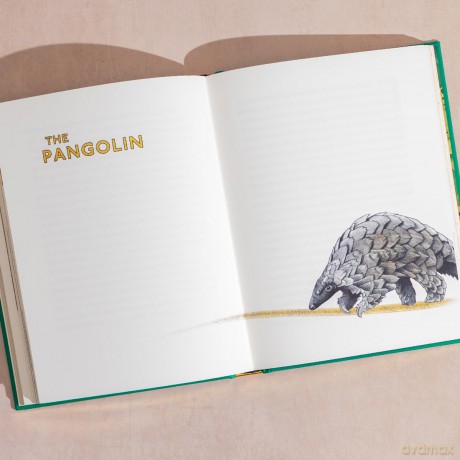 The Golden Mole: and Other Vanishing Treasure - Katherine Rundell [KSIĄŻKA]