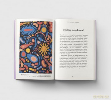 The Gut: A Pocket Primer - Amy Fleming [KSIĄŻKA]