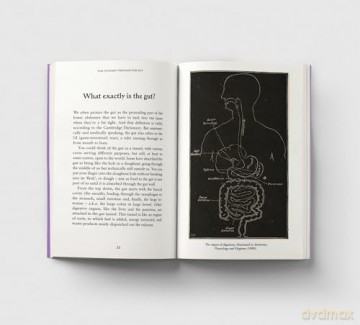 The Gut: A Pocket Primer - Amy Fleming [KSIĄŻKA]