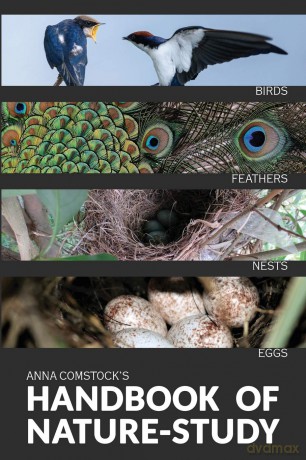 The Handbook Of Nature Study in Color - Birds - Anna B Comstock [KSIĄŻKA]