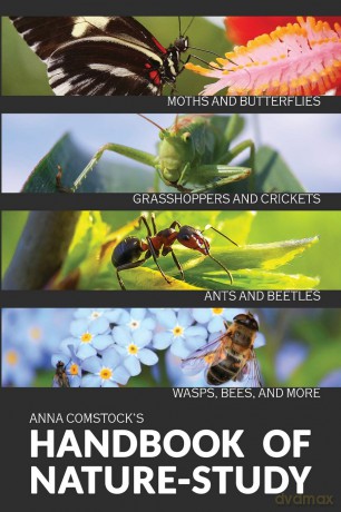 The Handbook Of Nature Study in Color - Insects - Anna B Comstock [KSIĄŻKA]