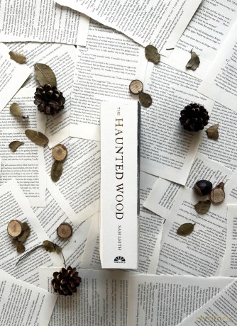 The Haunted Wood: A History of Childhood Reading - Sam Leith [KSIĄŻKA]