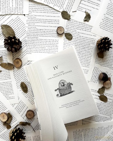 The Haunted Wood: A History of Childhood Reading - Sam Leith [KSIĄŻKA]