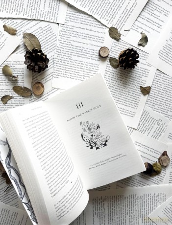 The Haunted Wood: A History of Childhood Reading - Sam Leith [KSIĄŻKA]