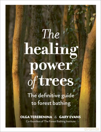 The Healing Power of Trees: The definitive guide to forest bathing - Olga Terebenina [KSIĄŻKA]