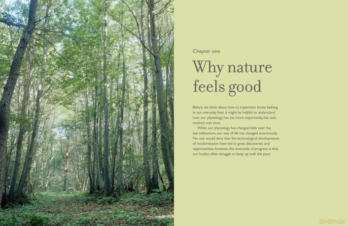 The Healing Power of Trees: The definitive guide to forest bathing - Olga Terebenina [KSIĄŻKA]