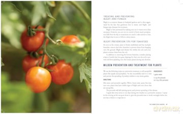 The Heart of the Homestead: Cultivating a Spirit of Simple Living Through Homemaking, Recipes, and Family - Ruthann Zimmerman [KSIĄŻKA]