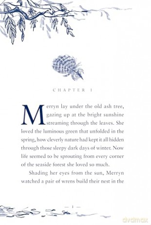 The Horse Dreamer: a gorgeous Christmas gift for readers aged 9+ - Holly Surplice [KSIĄŻKA]