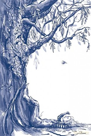 The Horse Dreamer: a gorgeous Christmas gift for readers aged 9+ - Holly Surplice [KSIĄŻKA]
