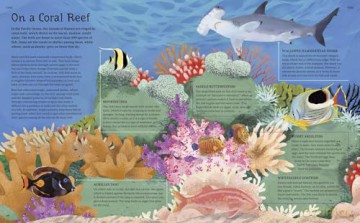 The Illustrated Encyclopedia of Ocean Life: A Visual Voyage Through an Underwater World - Claudia Martin [KSIĄŻKA]