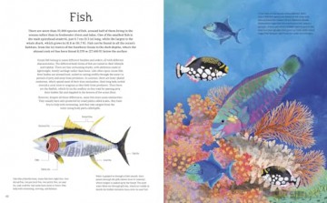 The Illustrated Encyclopedia of Ocean Life: A Visual Voyage Through an Underwater World - Claudia Martin [KSIĄŻKA]