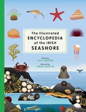 The Illustrated Encyclopedia of the Irish Seashore - Lucy Taylor [KSIĄŻKA]