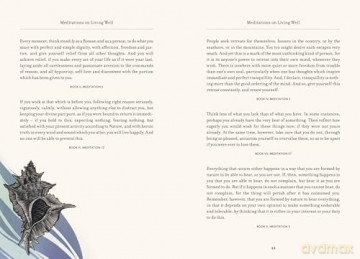 The Illustrated Meditations: Life Lessons from Marcus Aurelius - Marcus Aurelius [KSIĄŻKA]