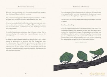 The Illustrated Meditations: Life Lessons from Marcus Aurelius - Marcus Aurelius [KSIĄŻKA]