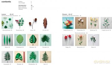 The Kew Book of Paper Gardens: 50 botanical paper projects to make - Fideli Sundqvist [KSIĄŻKA]