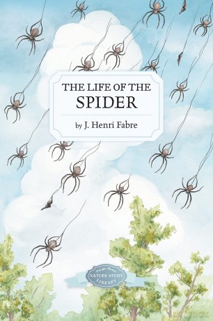 The Life of the Spider - J. Henri Fabre [KSIĄŻKA]