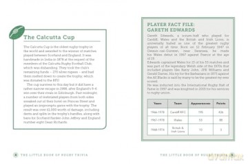The Little Book of Rugby Trivia: Facts, Stats, Stories and Trivia for the Ultimate Rugby Fan - Dan Bridges [KSIĄŻKA]