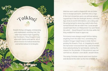 The Little Wild Library: Elder: Simple things to do with the plants around you. - Clare Gogerty [KSIĄŻKA]