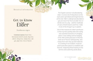 The Little Wild Library: Elder: Simple things to do with the plants around you. - Clare Gogerty [KSIĄŻKA]