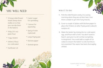 The Little Wild Library: Elder: Simple things to do with the plants around you. - Clare Gogerty [KSIĄŻKA]