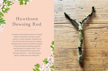 The Little Wild Library: Hawthorn: Simple things to do with the plants around you. - Clare Gogerty [KSIĄŻKA]