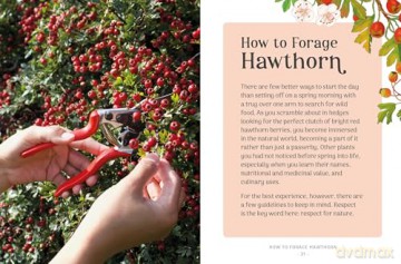 The Little Wild Library: Hawthorn: Simple things to do with the plants around you. - Clare Gogerty [KSIĄŻKA]