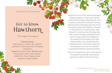 The Little Wild Library: Hawthorn: Simple things to do with the plants around you. - Clare Gogerty [KSIĄŻKA]