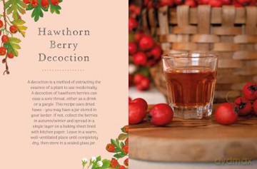 The Little Wild Library: Hawthorn: Simple things to do with the plants around you. - Clare Gogerty [KSIĄŻKA]