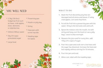 The Little Wild Library: Hawthorn: Simple things to do with the plants around you. - Clare Gogerty [KSIĄŻKA]