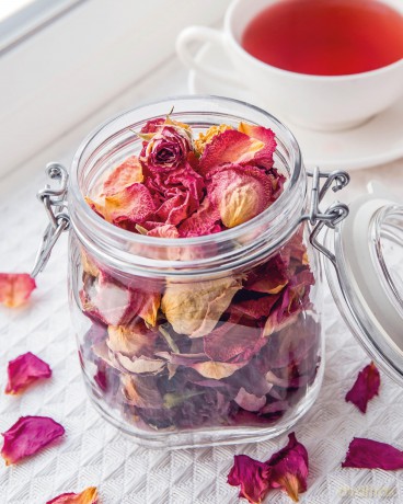 The Little Wild Library: Wild Rose: Simple things to do with the plants around you. - Clare Gogerty [KSIĄŻKA]