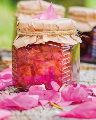 The Little Wild Library: Wild Rose: Simple things to do with the plants around you. - Clare Gogerty [KSIĄŻKA]