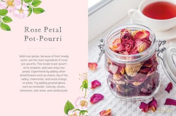 The Little Wild Library: Wild Rose: Simple things to do with the plants around you. - Clare Gogerty [KSIĄŻKA]