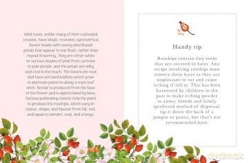 The Little Wild Library: Wild Rose: Simple things to do with the plants around you. - Clare Gogerty [KSIĄŻKA]