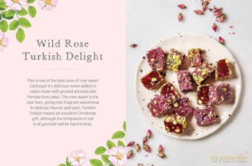 The Little Wild Library: Wild Rose: Simple things to do with the plants around you. - Clare Gogerty [KSIĄŻKA]