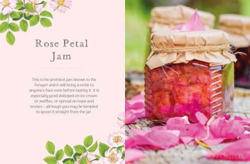 The Little Wild Library: Wild Rose: Simple things to do with the plants around you. - Clare Gogerty [KSIĄŻKA]