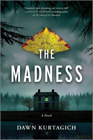 The Madness: A Novel - Dawn Kurtagich [KSIĄŻKA]