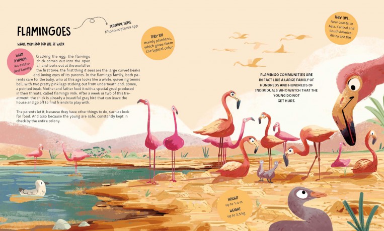 The Many Ways to be a Family: Learning from Animals: 2 - Francesco Faccia [KSIĄŻKA]