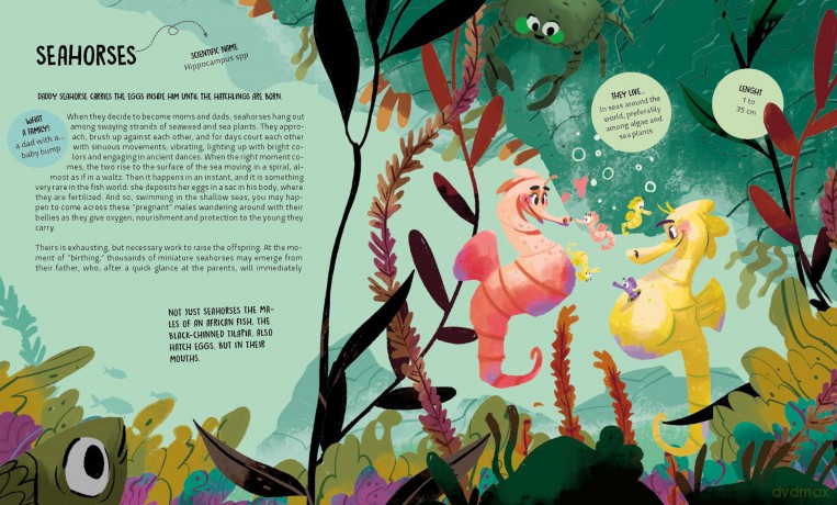 The Many Ways to be a Family: Learning from Animals: 2 - Francesco Faccia [KSIĄŻKA]