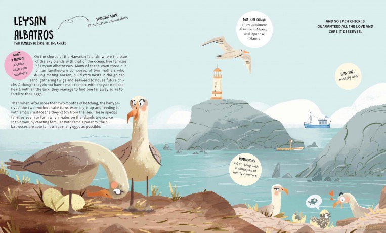 The Many Ways to be a Family: Learning from Animals: 2 - Francesco Faccia [KSIĄŻKA]