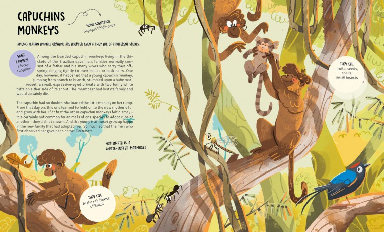 The Many Ways to be a Family: Learning from Animals: 2 - Francesco Faccia [KSIĄŻKA]
