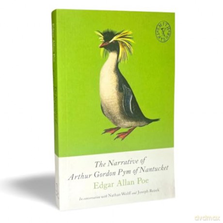The Narrative of Arthur Gordon Pym of Nantucket: and Collected Writings: 8 - Edgar Allan Poe [KSIĄŻKA]