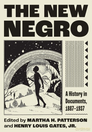 The New Negro: A History in Documents, 1887-1937 - Martha H. Patterson [KSIĄŻKA]