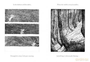 The Night Creatures: Firefly - Robert Macfarlane [KSIĄŻKA]