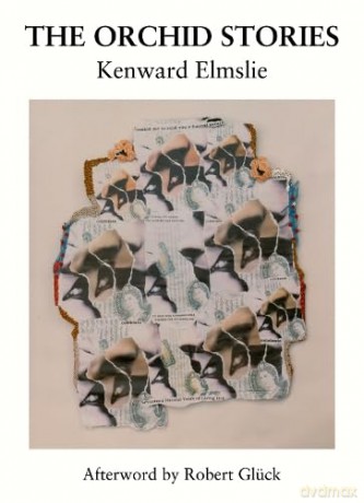 The Orchid Stories - Kenward Elmslie [KSIĄŻKA]