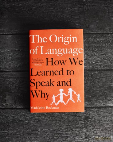 The Origin of Language: How We Learned to Speak and Why - Madeleine Beekman [KSIĄŻKA]