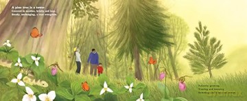 The Pine Cone's Secret: A Life Cycle Poem - Hannah Barnaby [KSIĄŻKA]