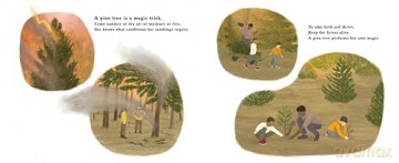 The Pine Cone's Secret: A Life Cycle Poem - Hannah Barnaby [KSIĄŻKA]