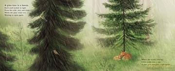 The Pine Cone's Secret: A Life Cycle Poem - Hannah Barnaby [KSIĄŻKA]