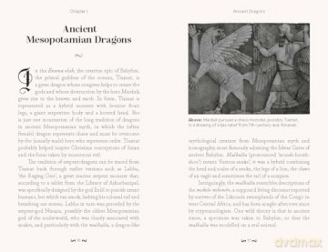 The Pocket Book of Dragons: Myth, Magic and Meaning - Joel Levy [KSIĄŻKA]